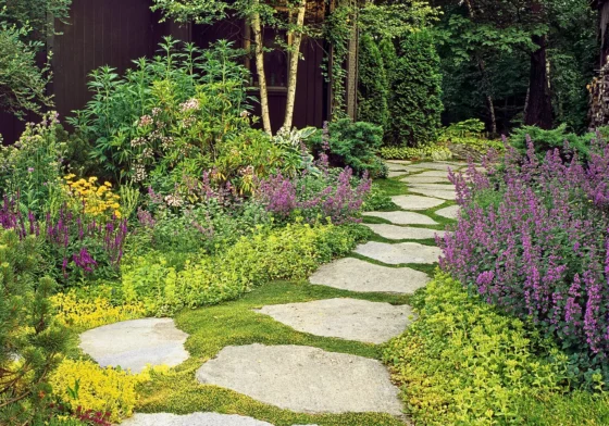 Rock Ground Cover for Pathways