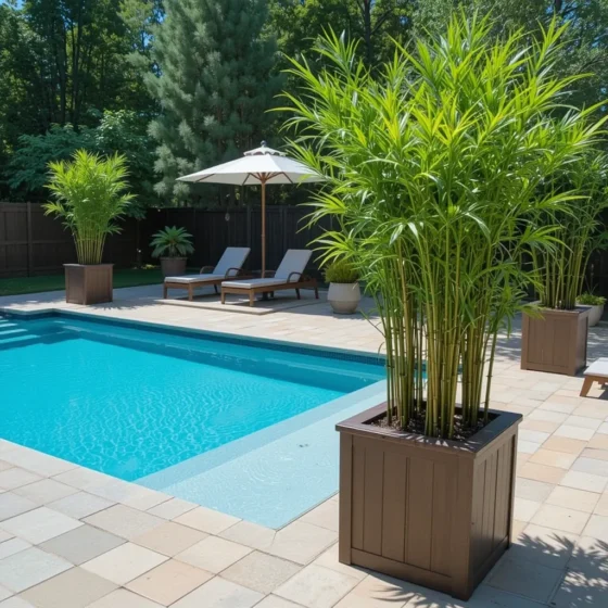 Tall Privacy Planters with Bamboo