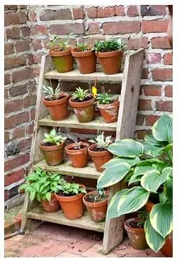 DIY Ladder Garden Rack