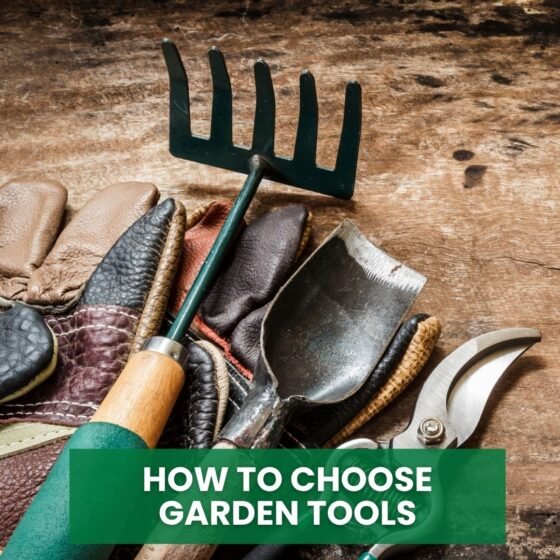How to Choose Garden Tools